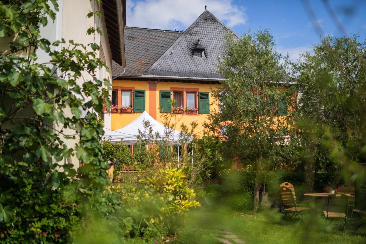 Гостевой дом Bio-Weingut Staffelter Hof Креф Экстерьер фото