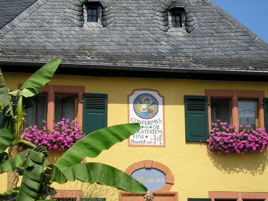 Гостевой дом Bio-Weingut Staffelter Hof Креф Экстерьер фото
